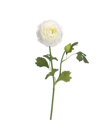 ALL STATE FLORAL - 19" Ranunculus Silk Flower Stem CREAM