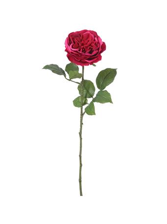 ALL STATE FLORAL - 22" Garden Rose Silk Flower Stem FUSCHIA