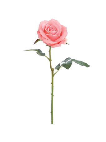 ALL STATE FLORAL - 24.4" Rose Silk Flower Stem CORAL
