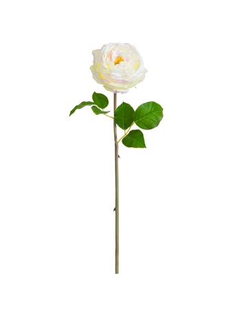 ALL STATE FLORAL - 20" Silk Cabbage Rose Bud Flower Stem CREAM