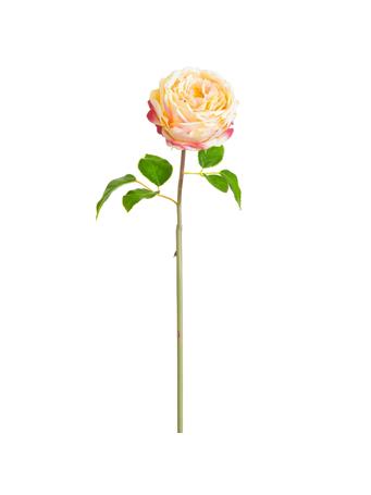 ALL STATE FLORAL - 20" Silk Cabbage Rose Bud Flower Stem PINK