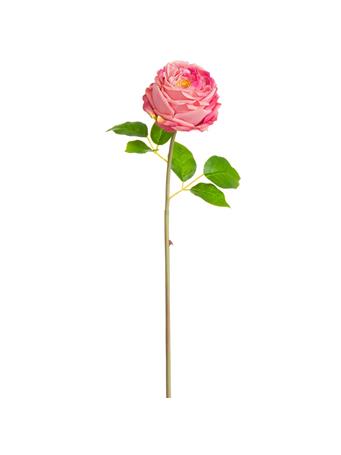 ALL STATE FLORAL - 20" Silk Cabbage Rose Bud Flower Stem ROSE