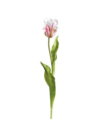 ALL STATE FLORAL - 20" Real Touch Tulip Silk Flower Stem WHITE