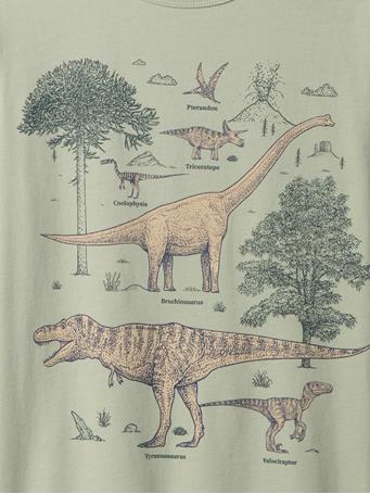 GAP - Kids Graphic T-Shirt DESERT SAGE