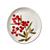 WHITE/RED