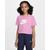 ASTER PINK