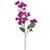 FUSCHIA