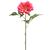 CERISE