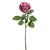 FUSCHIA