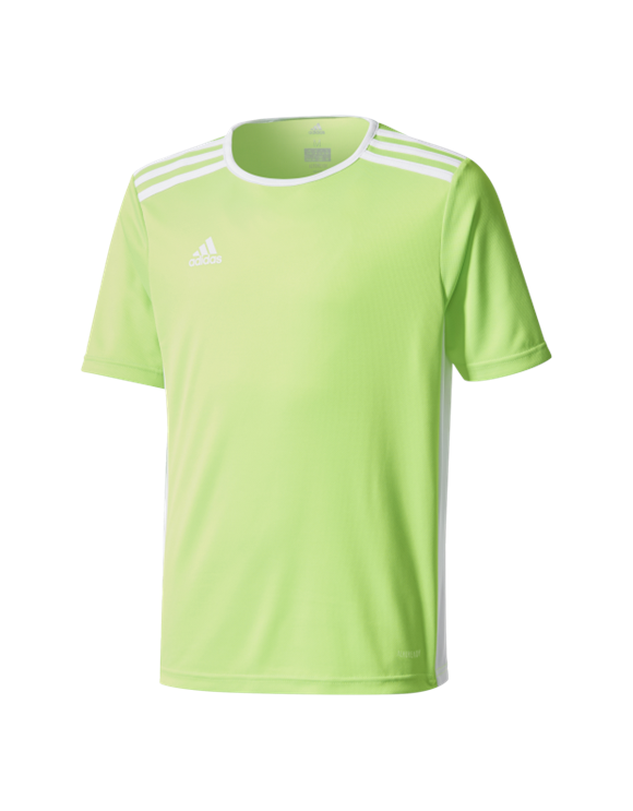 adidas entrada tee