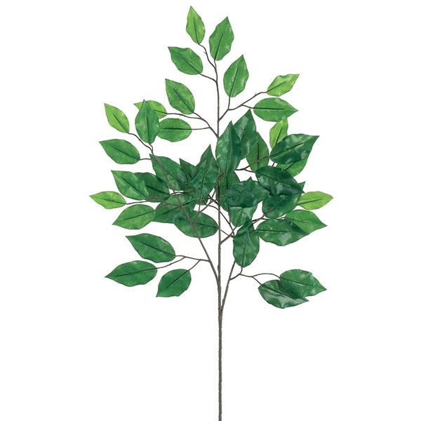 24 DLX FICUS SPRAY X3 42L GRTT GREEN | Gibbons