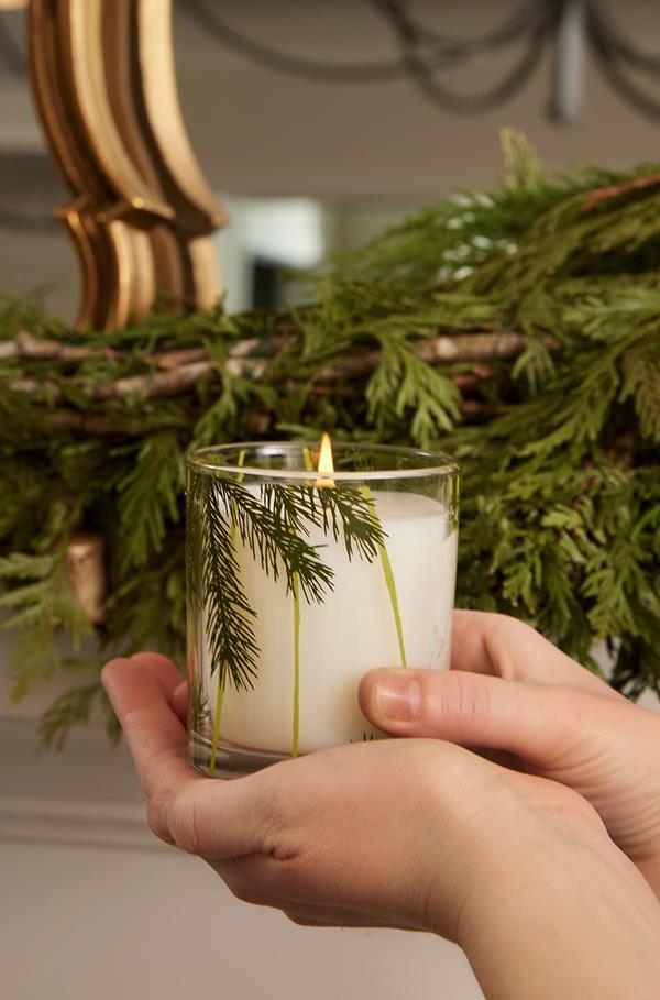 Frasier Fir Flocked 6.5 OZ Poured Candle