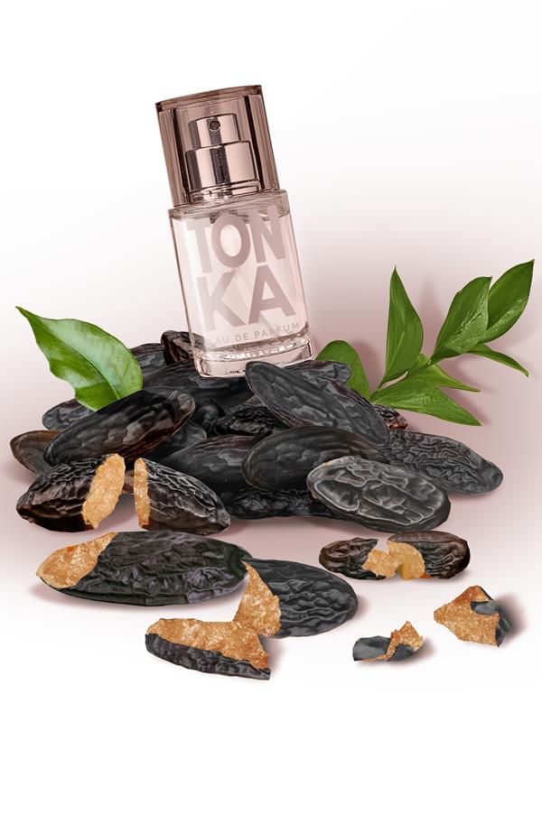Mini Tonka 15ml EDP