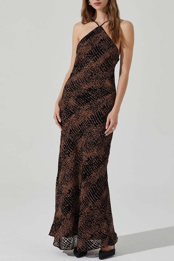 Briotte Dress