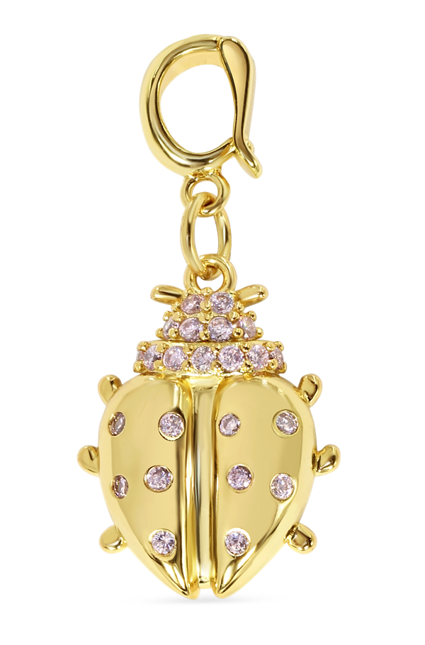 Ladybug Charm
