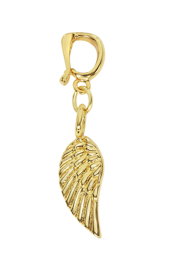 Angel Wing Charm