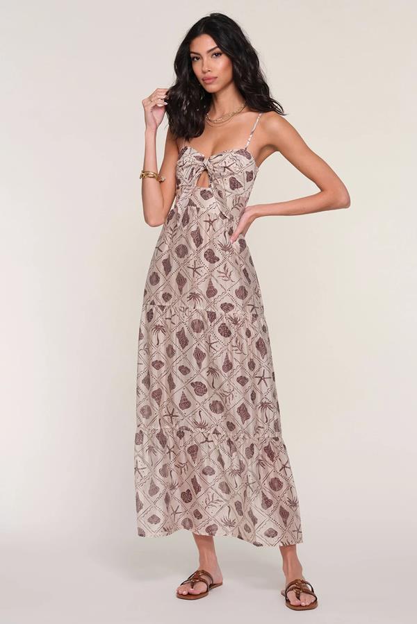 Ames Dress