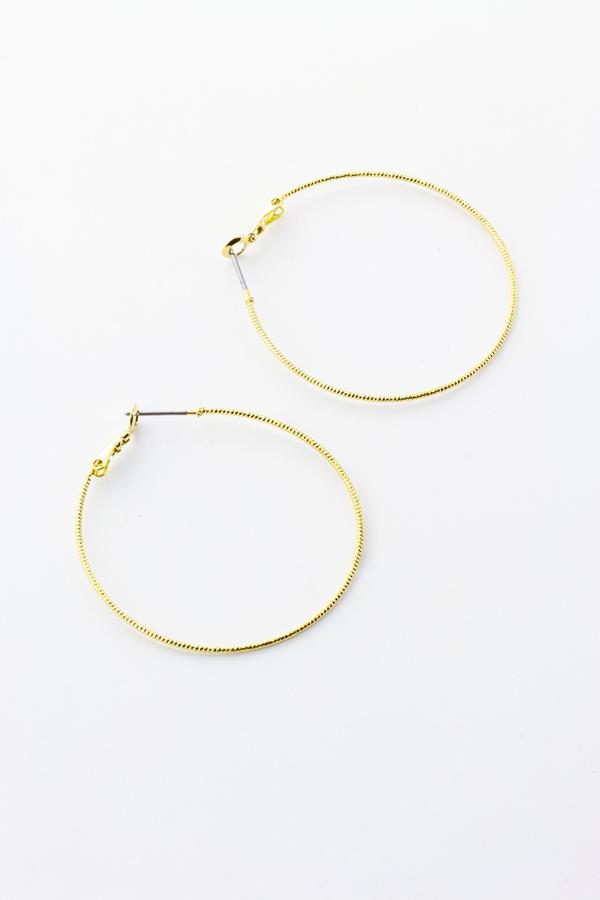 Barely There Hoop Earrings