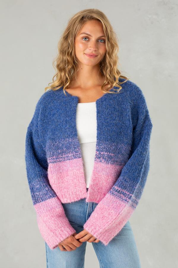 Ollie Ombre Sweater