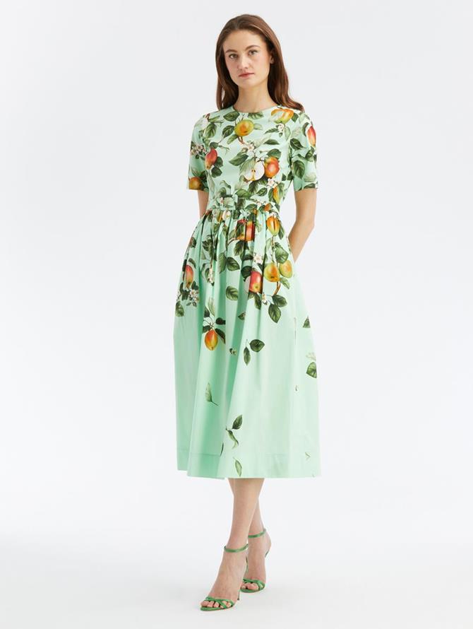 Apple Blossom Poplin Dress