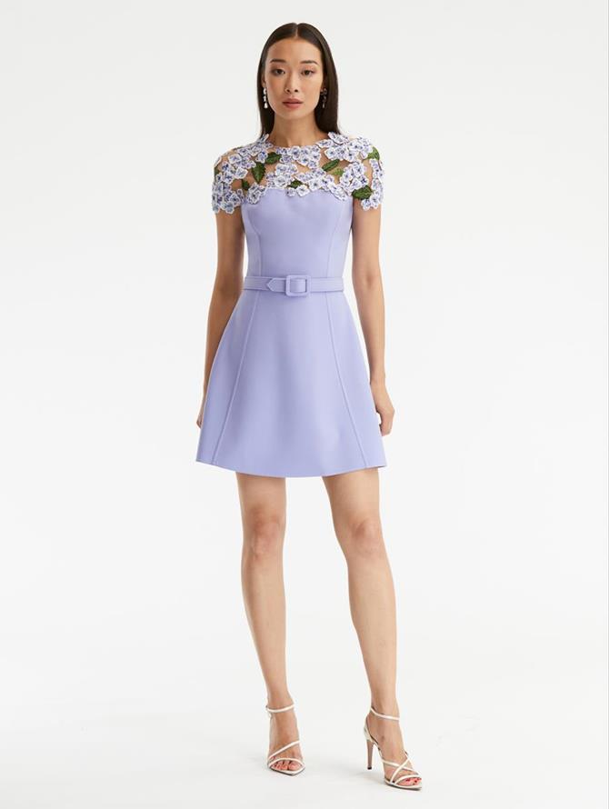 Hydrangea Embroidered A-Line Mini Dress