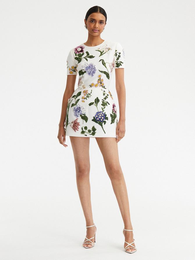 Cap Sleeve Floral Embroidered Mini Dress