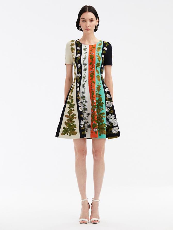 Botanical Stripe Jacquard Dress